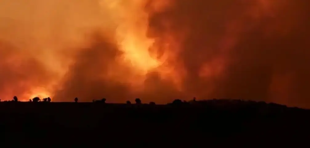 Diyarbakır ve Mardin'deki anız yangınında hayatını kaybedenlerin sayısı 12'ye yükseldi.